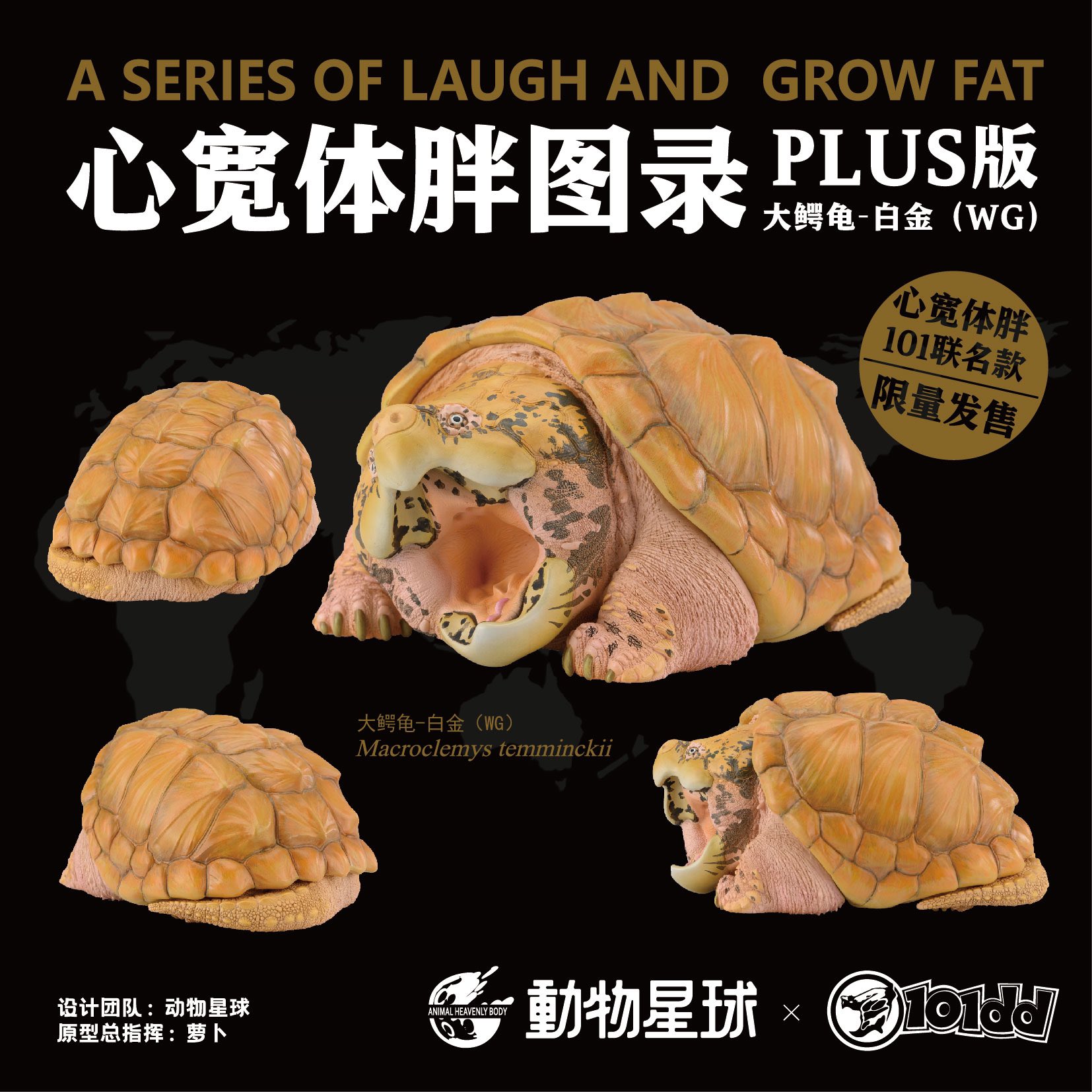 insectech 昆虫採集と標本用品の専門店 on X: 