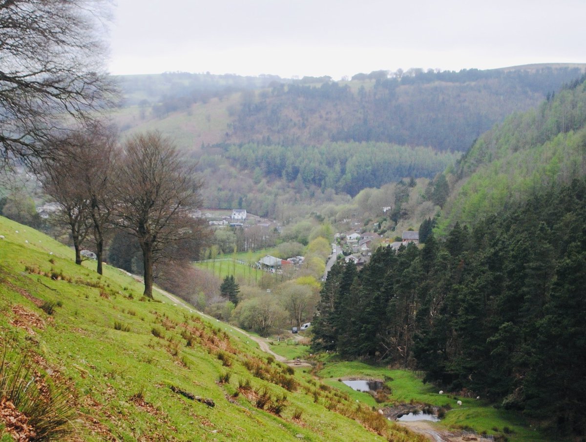 The Enthusiasts Guide to Non League Welsh Football tweet media