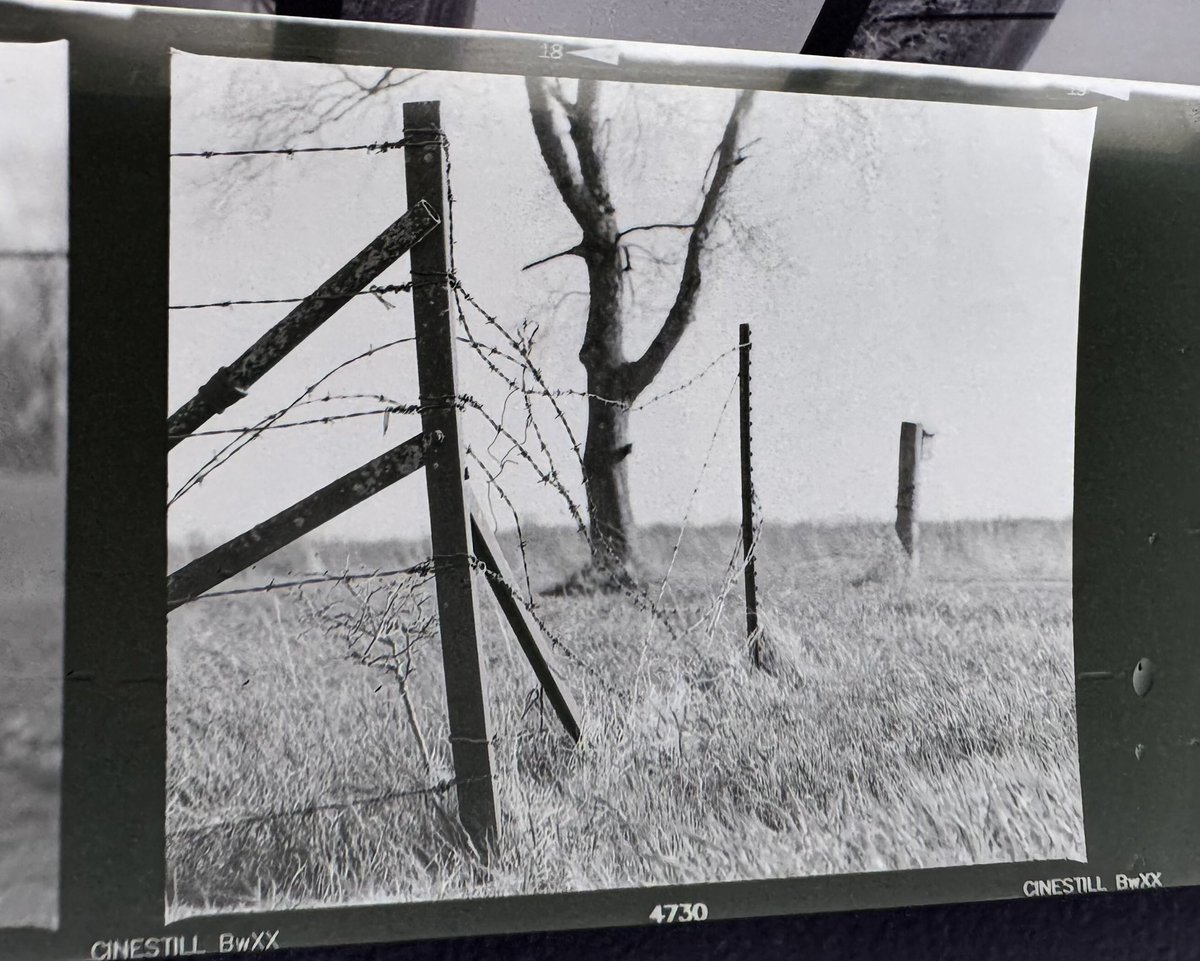 IntrepidFusion's tweet image. Cinestill XX developed with DD-X for 9 minutes at 70 C with constant agitation in a processor. DD-X was 1+4.