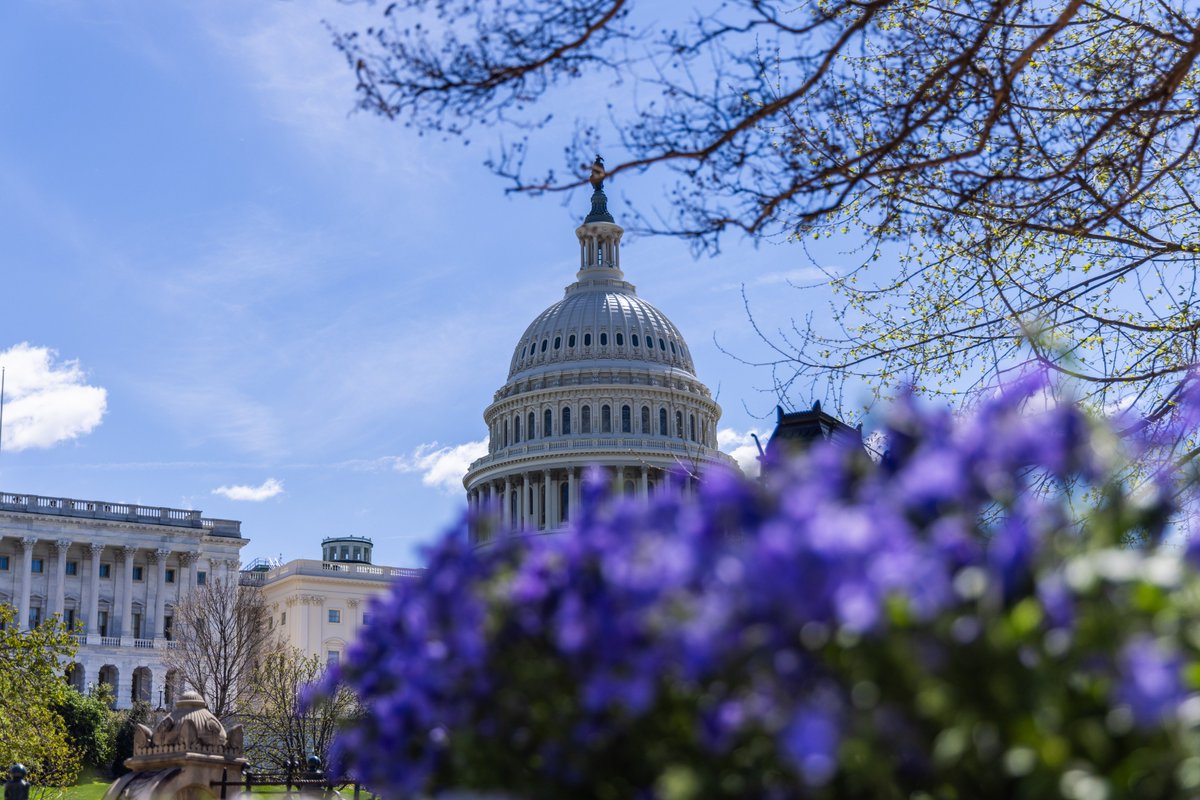 👋 Hello from D.C.