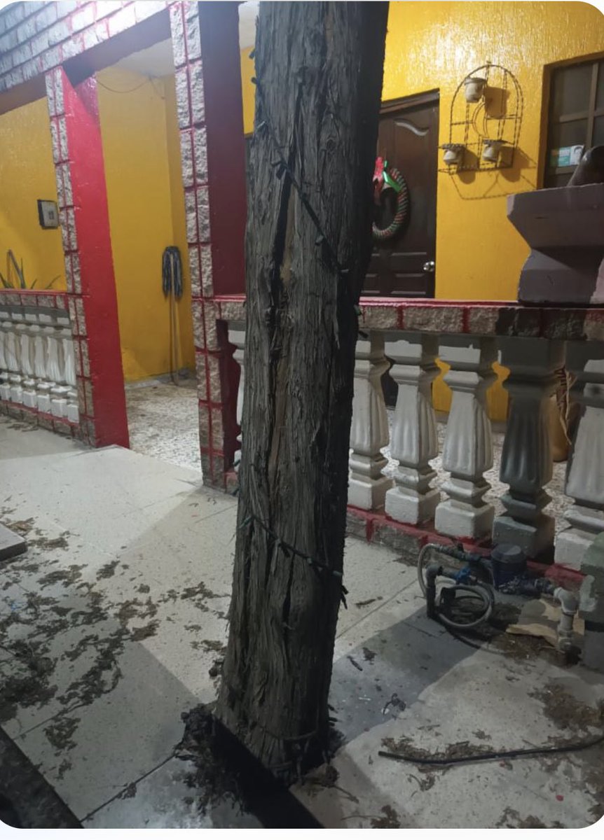 📍Reporte Ciudadano

Vecinos de Santa Catarina reportan pino con riesgo de caer, tiene tronco agrietado y con el aire se mueve mucho. 

Dirección: Marruecos 907 Colonia Arboledas de las Mitras. <a href="/Cicmty/">CIC</a>