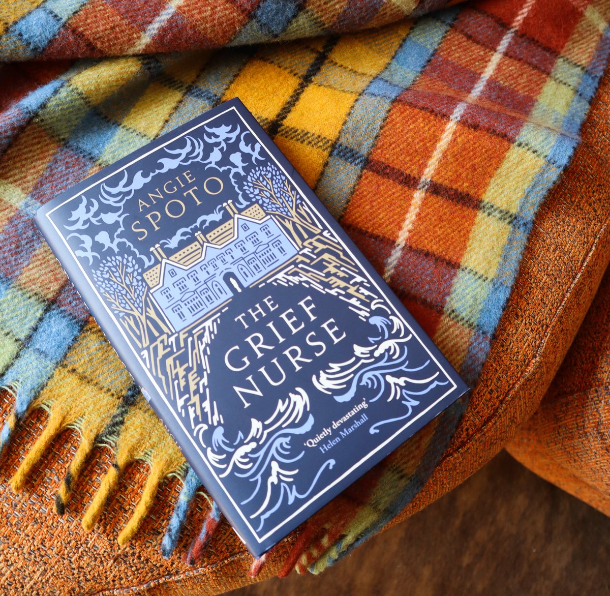 Angie Spoto 🔮 tweet media