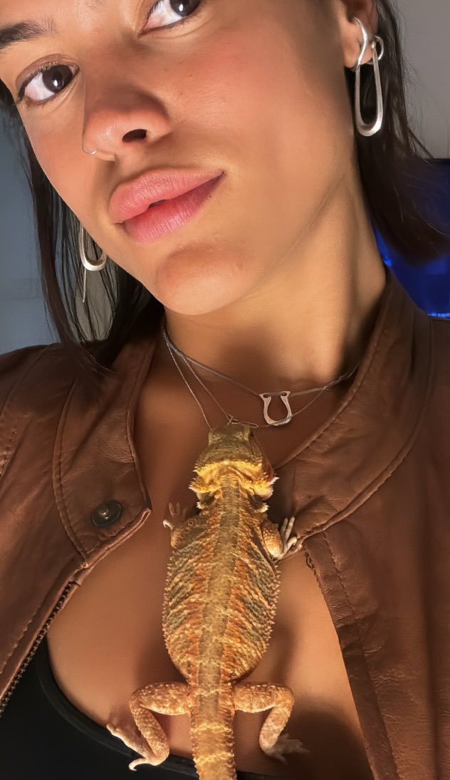 tal tito tweet media