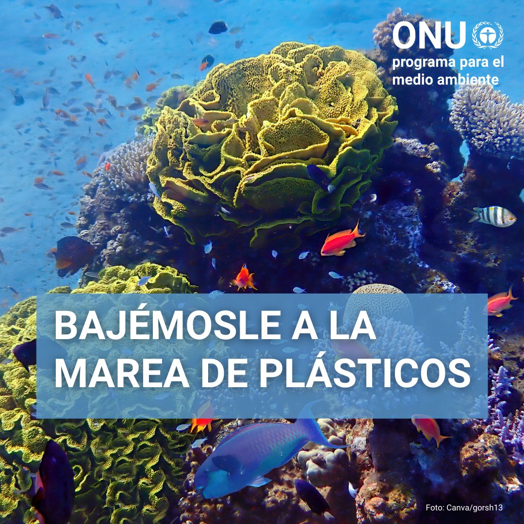 #SinContaminaciónPorPlásticos
#SomosCuba
#UnaSolaTierra