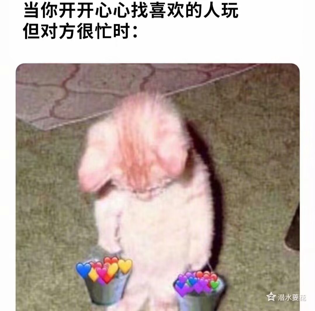 woaishuji's tweet photo. 所以我选择不找你们了（ https://t.co/Z7K9Vr2naQ