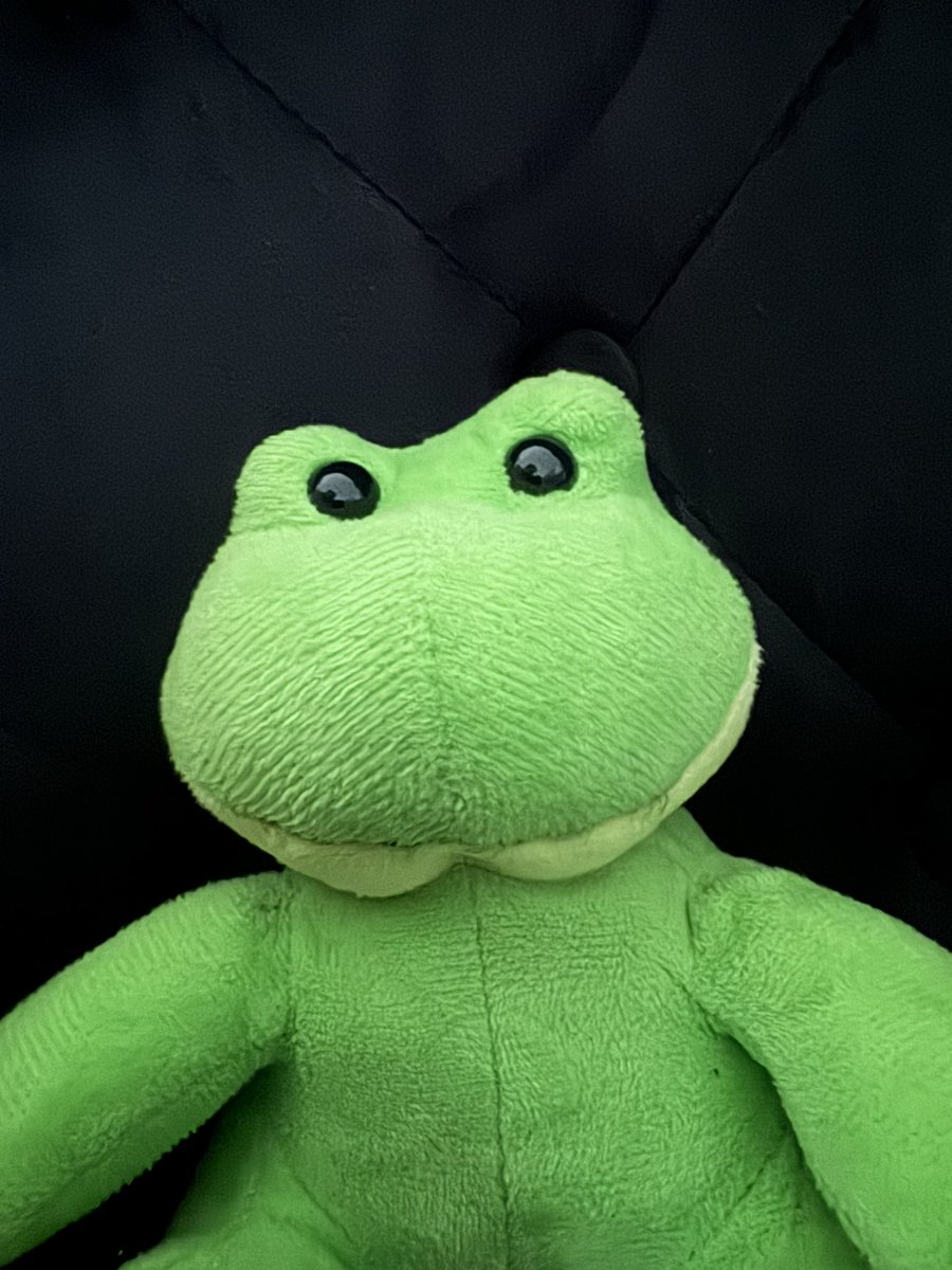 ClintTheFrog's tweet photo. @KevinPromotes It me $CLINT
need money for tacos 🌮 https://t.co/dddNBGMe3P