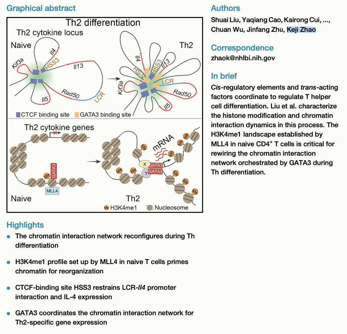 Regulation of T helper cell differentiation by the interplay between histone modification and chromatin interaction

Immunity (April 12, 2024)

doi.org/10.1016/j.immu…