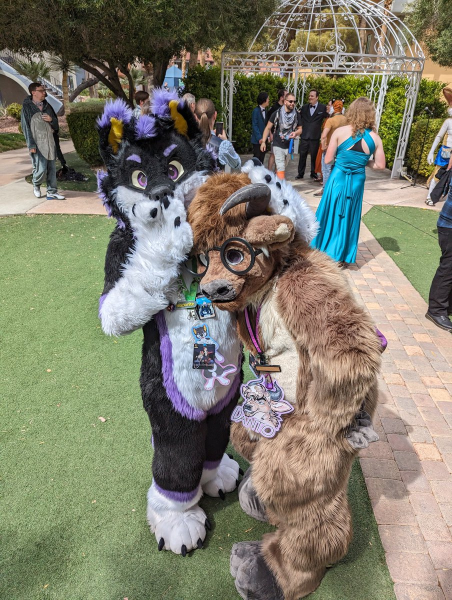 It may not be #FursuitFriday anymore but I can still be a gremlin to this moo

🐂: @LumberingMoo
🏙️: #LVFC2024