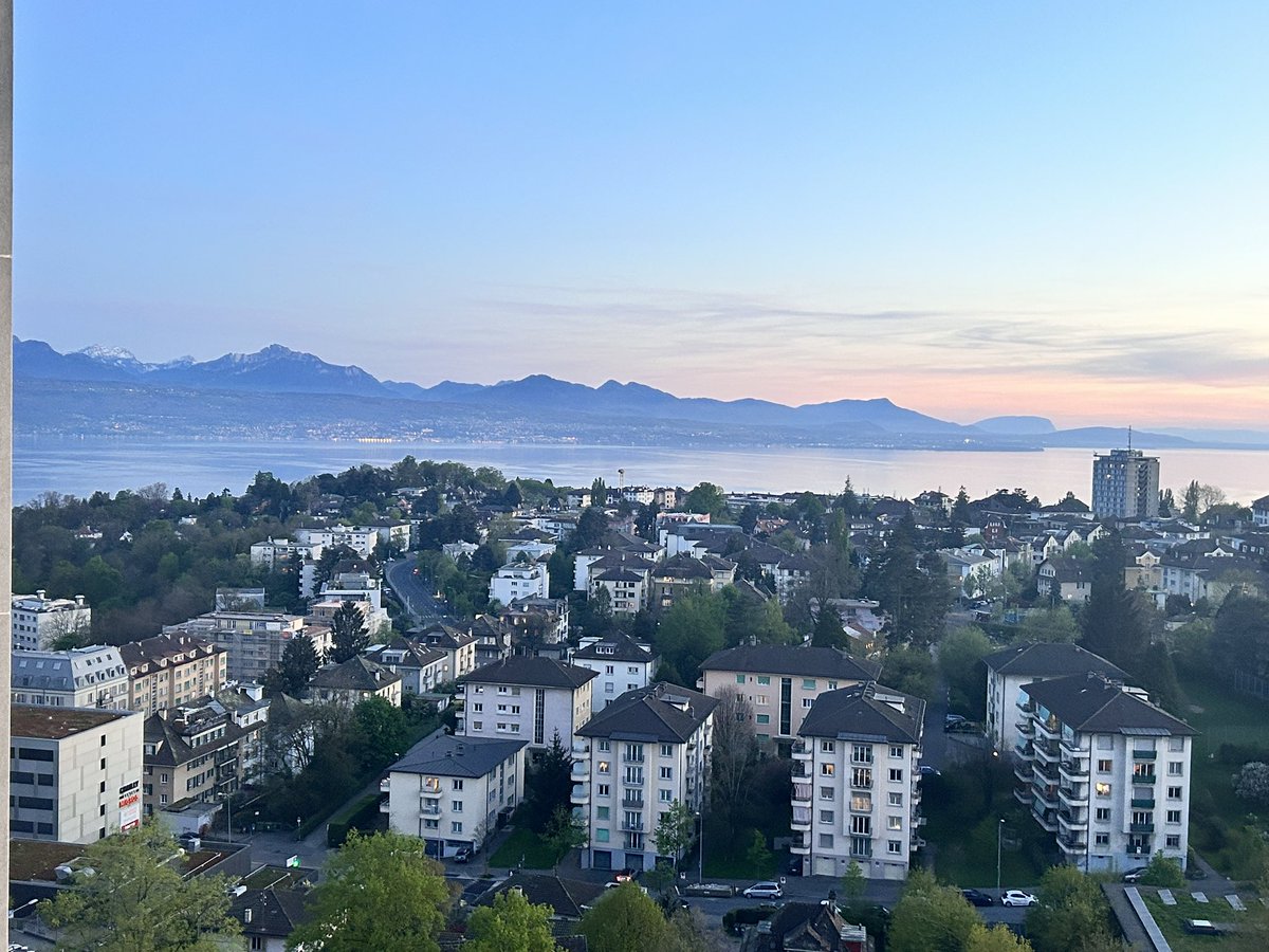 Happy #Caturday (a bit late) .@reinosoj2 😻and All our dear #ReinosoFamily friends 🌎wide. Sunset over Lausanne, we have had a glorious day! Sending ❤️from 🇨🇭 and wishing everyone a peaceful evening. 😘