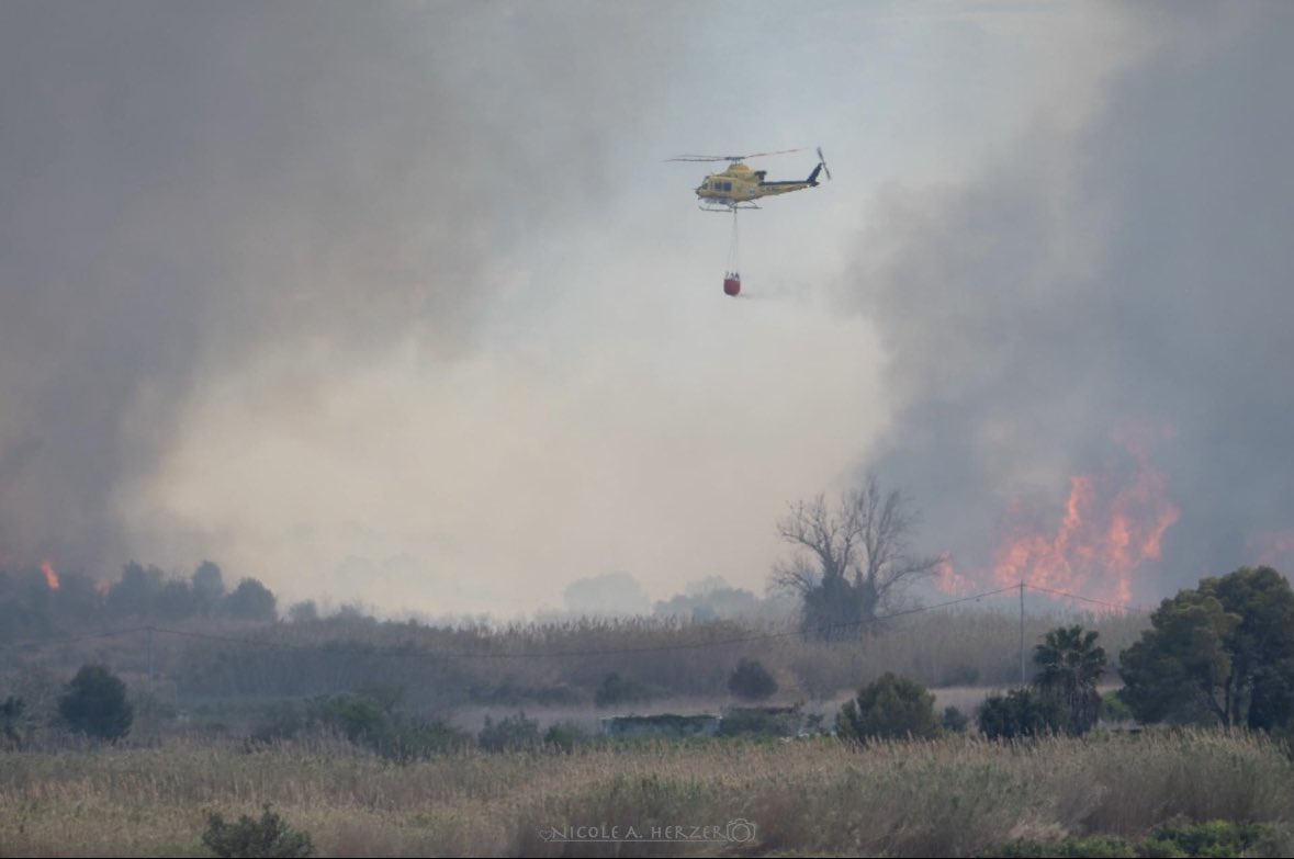 Fuego en Javea…
Die Landwirte verbrennen trotz der anhaltenden Dürre Gartenabfälle und Plastik. Wenn das Feuer nicht kontrolliert wird, entsteht ein Großbrand. Ascheregen in den umliegenden Dörfern. Die gelbe Rauchentwicklung war über 30 km sichtbar.