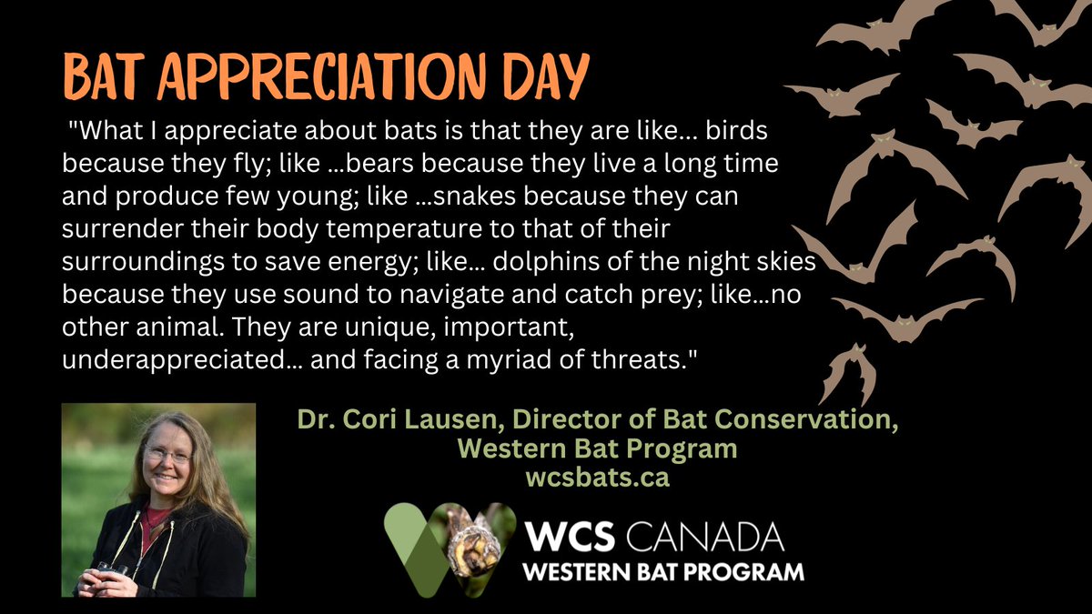 wcscanadabats's tweet photo. How does the #BatTeam appreciate bats? We are taking time for #BatAppreciationDay2024 to relay some thoughts. #BatsNeedFriends #WeStandForBats https://t.co/lwUsuduz79