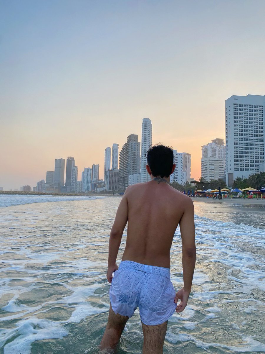 Alex tweet media