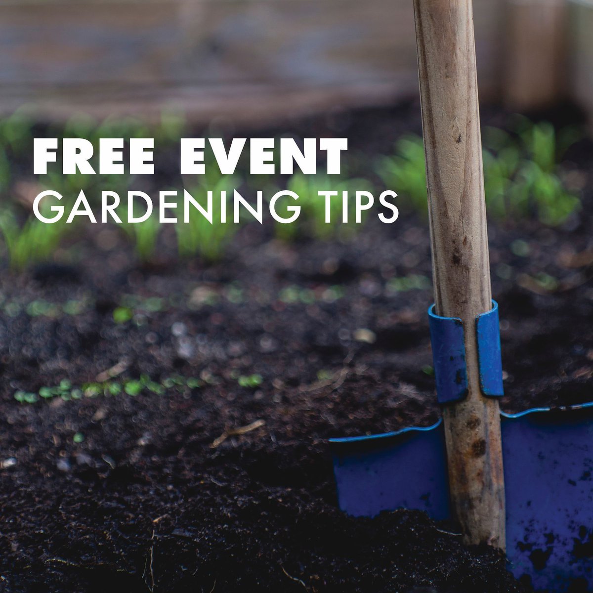 FREE EVENT: Chandler – Native Edible Gardens 🍎🥒 How to design your garden to be water efficient, how to prep your soil, and how to prepare them once they’re harvested. @cityofchandler #WaterUseItWisely 🗓️ April 16 @ 6:00 pm - 7:30 pm 📍 Register here: buff.ly/47WwYYb