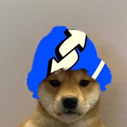 dogwifhat tweet media