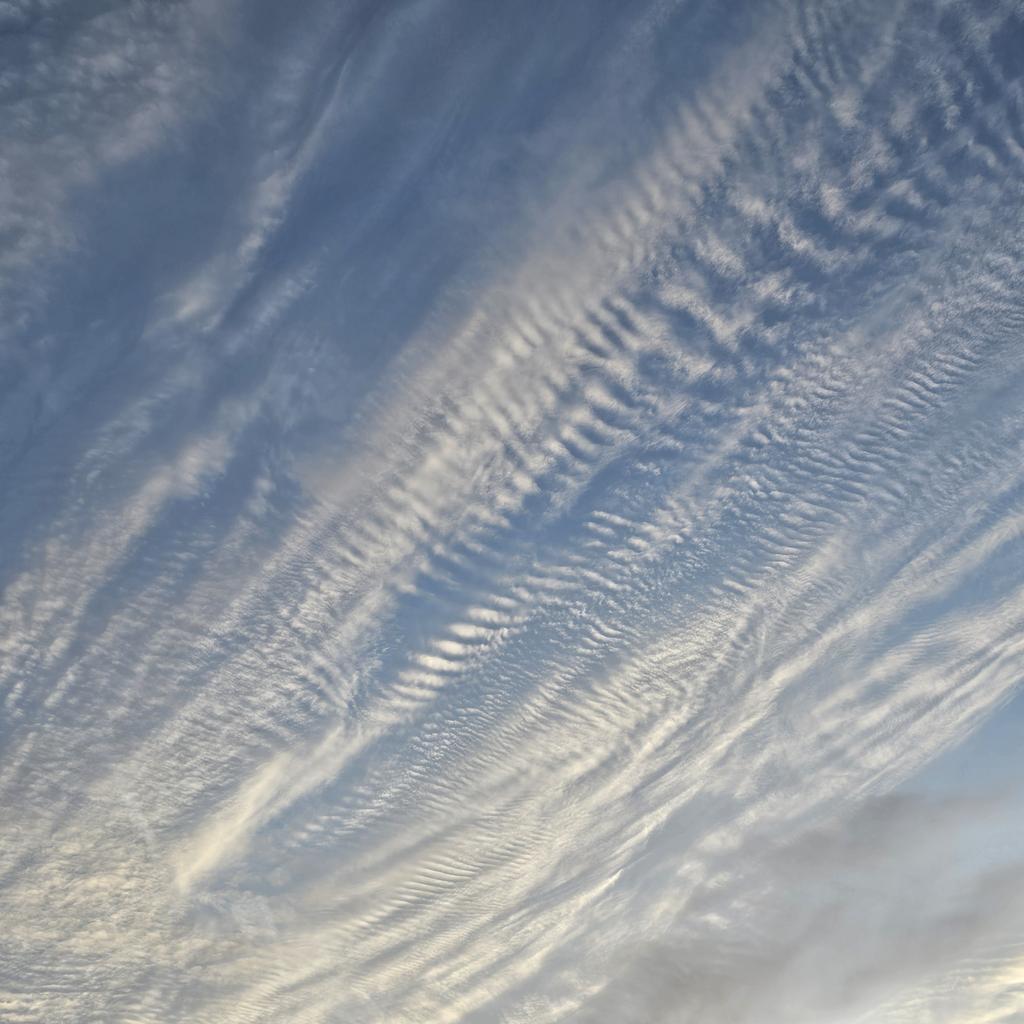 Mackerel sky