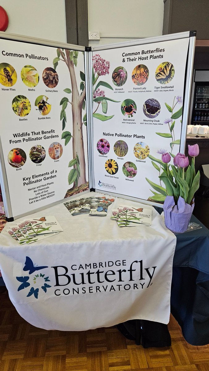 PollinateGuelph's tweet photo. And a few more! https://t.co/CuW46JfloV