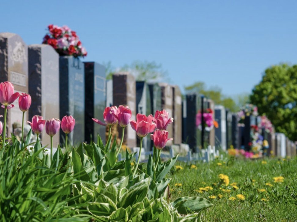 Cemetery offers premium ‘Headliner Tombstones’ closer to the more popular walking paths thebeaverton.com/2021/12/cemete…