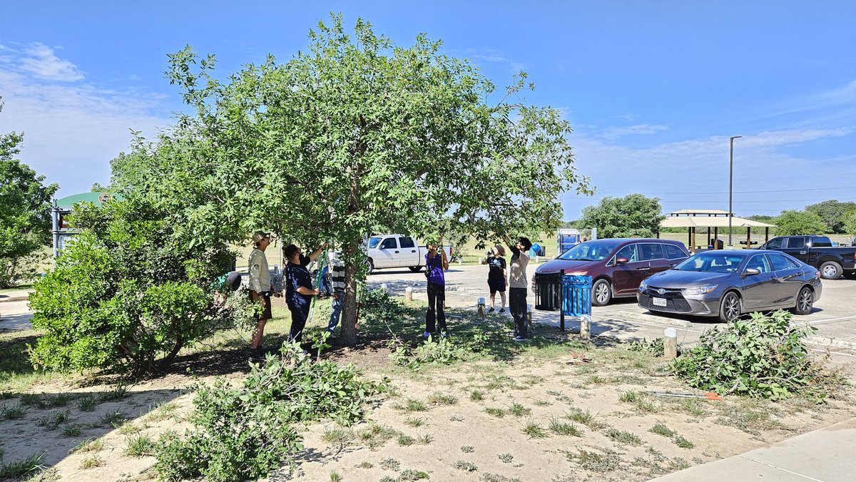 BexarBranches's tweet photo. Thank you to all the Tree Buds and the Students of Service who volunteered this morning to excavate root flares of some of the trees at the McAllister Dog Park. This allows for better soil gas exchange, reduces the risk of decay, and promotes overall tree health and stability. https://t.co/Uw9Bc470Vn