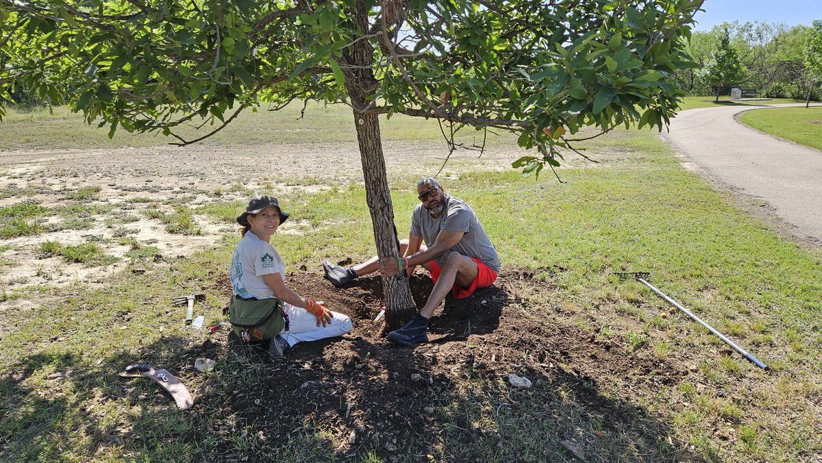 BexarBranches's tweet photo. Thank you to all the Tree Buds and the Students of Service who volunteered this morning to excavate root flares of some of the trees at the McAllister Dog Park. This allows for better soil gas exchange, reduces the risk of decay, and promotes overall tree health and stability. https://t.co/Uw9Bc470Vn