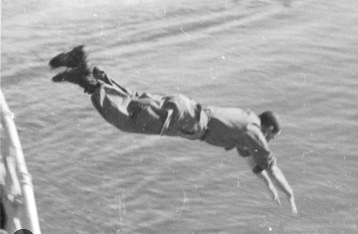 Dave Portnoy tweet media