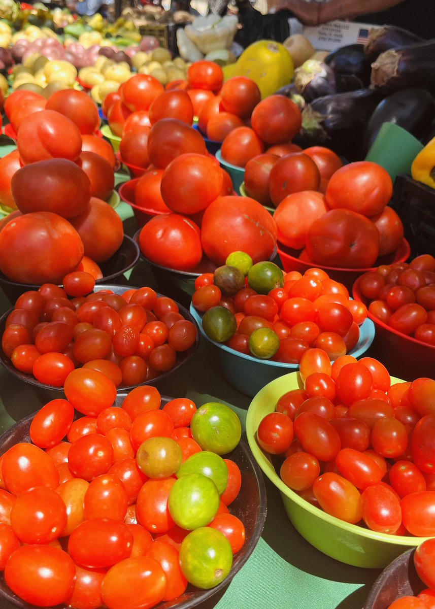 It’s a great weekend for the #FarmersMarket ❤️ We are still celebrating #NationalGrilledCheeseDay at the Farmers Market today 😍 @VisitBradenton ✨