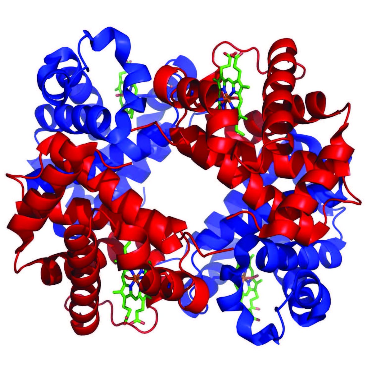 🔴METALLI IN BIOLOGIA🔴
Metalloproteine e neurodegenerazione
giovedì 18 aprile 2024, ore 18
🔜CONFERENZA con Simone DELL’ACQUA 
Università degli Studi di Pavia <a href="/unipv/">Università di Pavia</a> <a href="/colborromeo/">Collegio Borromeo</a> 

collegioborromeo.it/it/metalli-in-…