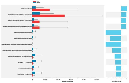 INNOVADIETA's tweet photo. Impact of the Mediterranean Diet on the Gut Microbiome of a Well-Defined Cohort of Healthy Individuals https://t.co/O9b71gl00T #mdpinutrients a través de @Nutrients_MDPI https://t.co/hSaUXrgEG8
