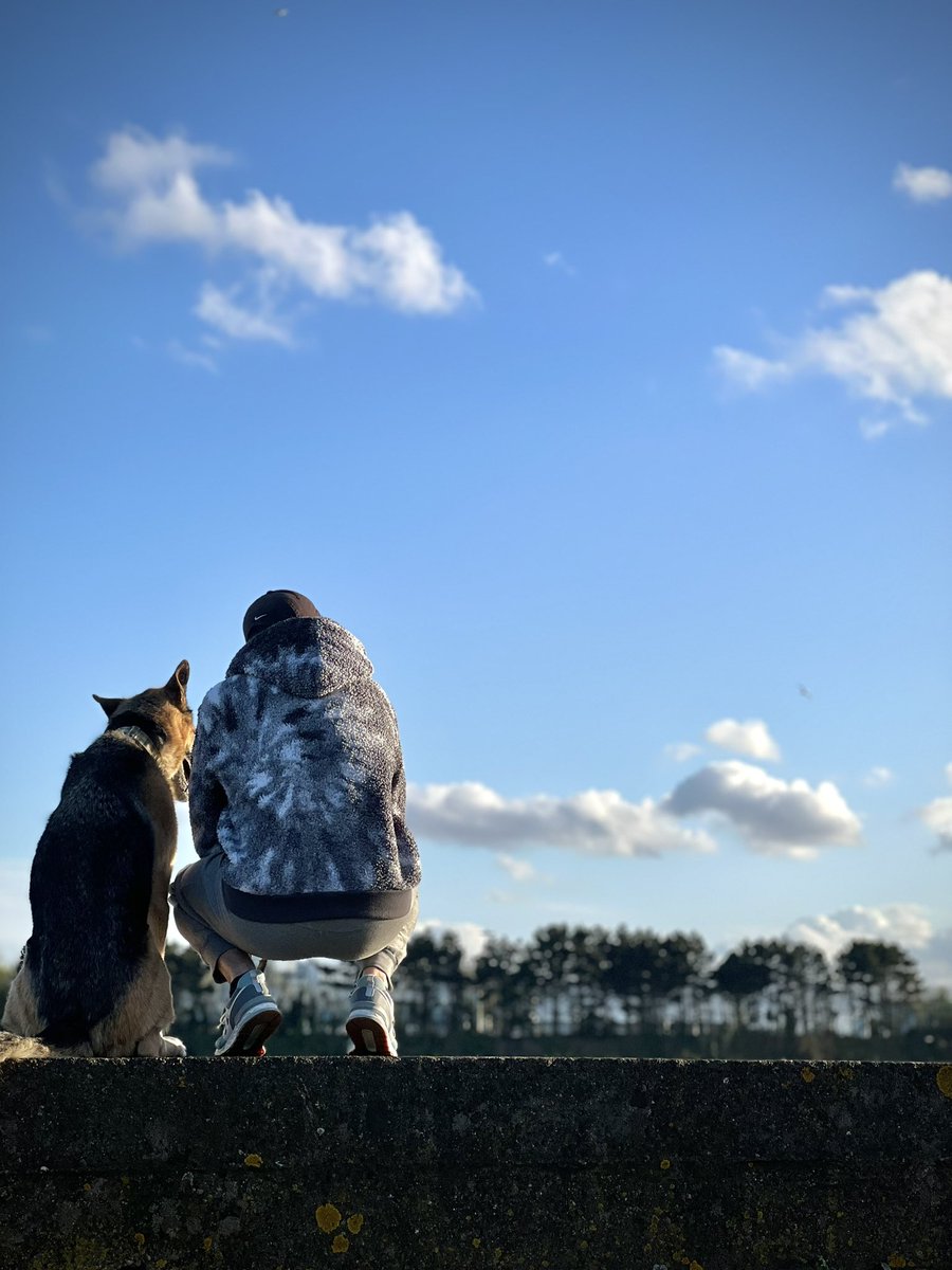 CJMuras's tweet photo. Sunset Boulevard ✨☀️🐶
#clontarf #strollin #sunset #dogdad https://t.co/fGPotxTZiZ