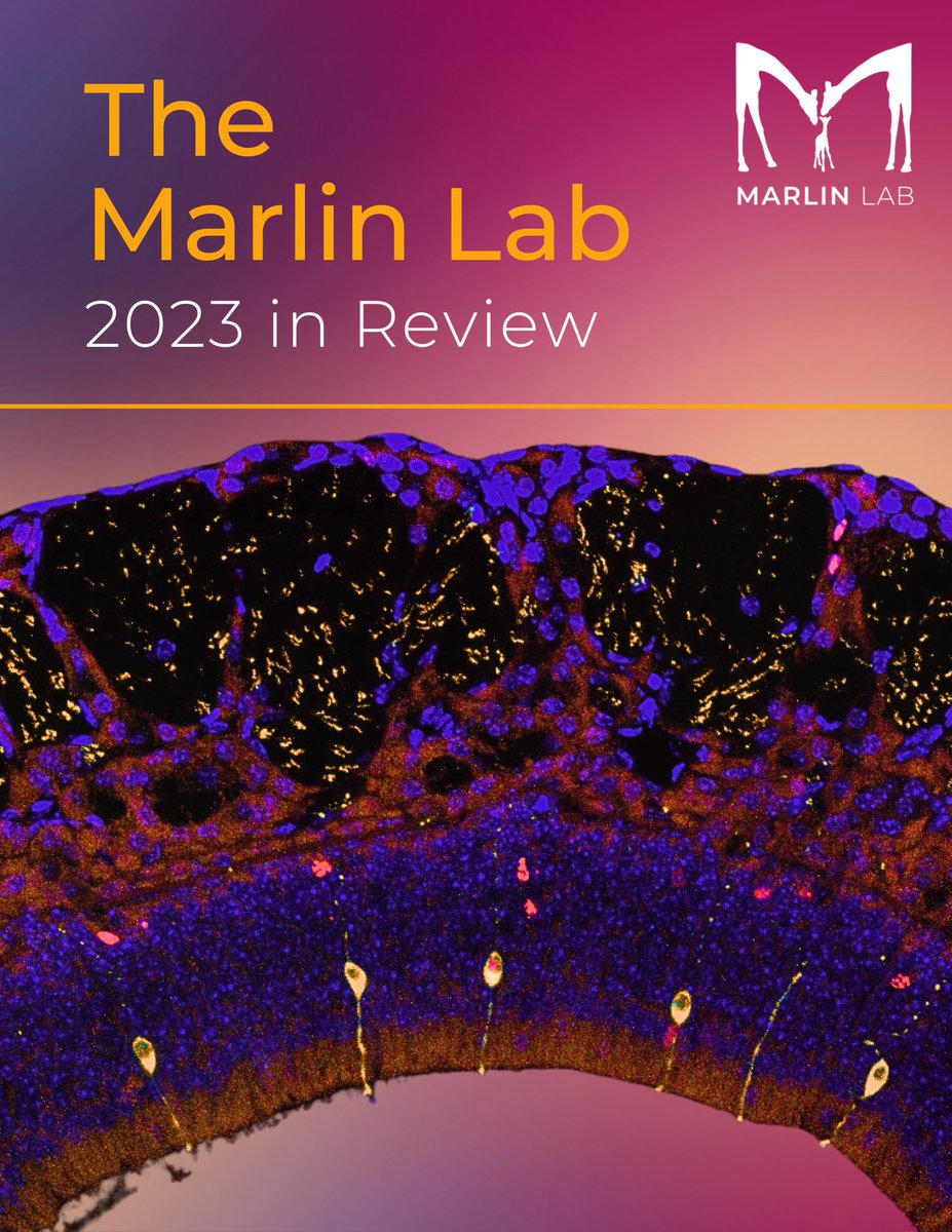 bjmarlin's tweet image. Amidst a hard time in the world, this is our joy to share:
The Marlin Lab 2023 Year in Review is here 📷
Last year, I watched our team flourish -- standing by our motto of “Ambition and meticulous, radical and rigorous, science.”
biancajonesmarlin.com/annual-reports