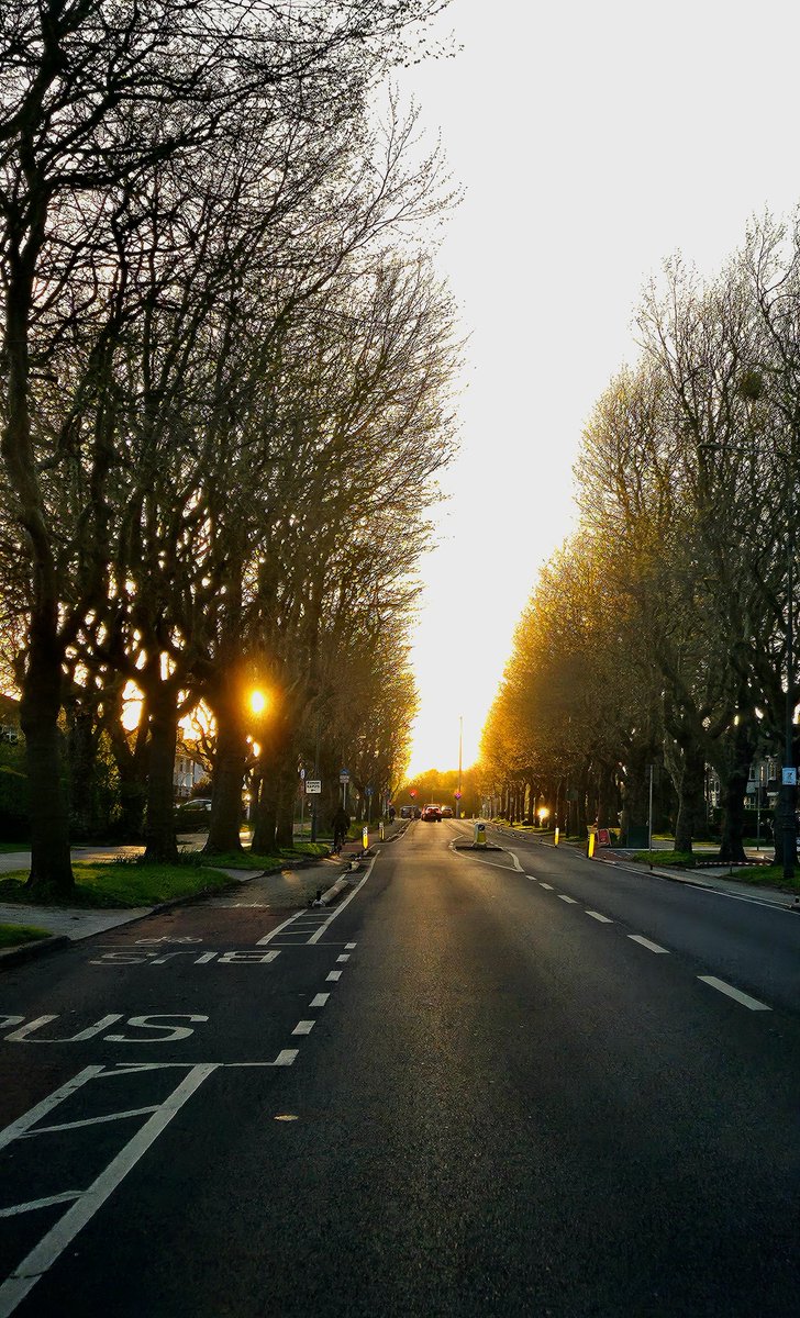 Griffith Ave in a fine spring evening #Dublin #Ireland #Irish #spring #photography