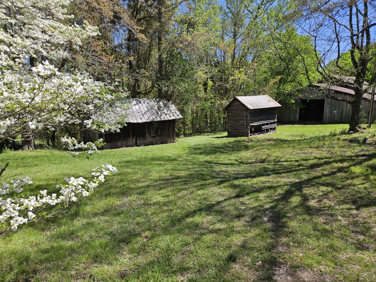 Springtime in the NC piedmont