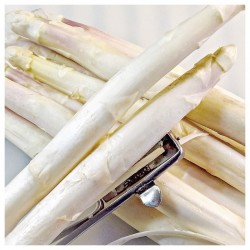 INNOVADIETA's tweet photo. Composition and Functional Properties of the Edible Spear and By-Products from Asparagus officinalis L. and Their Potential Prebiotic Effect https://t.co/AFyP993OSC #mdpifoods a través de @Foods_MDPI https://t.co/nsWSfIDSM6