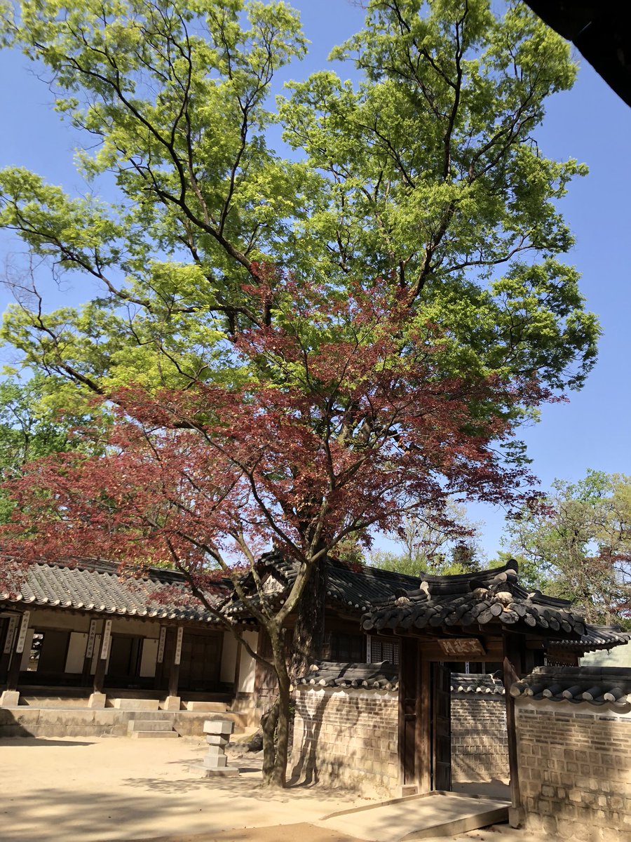_leesunyoung's tweet photo. 비원 https://t.co/dDsqCkjXLg