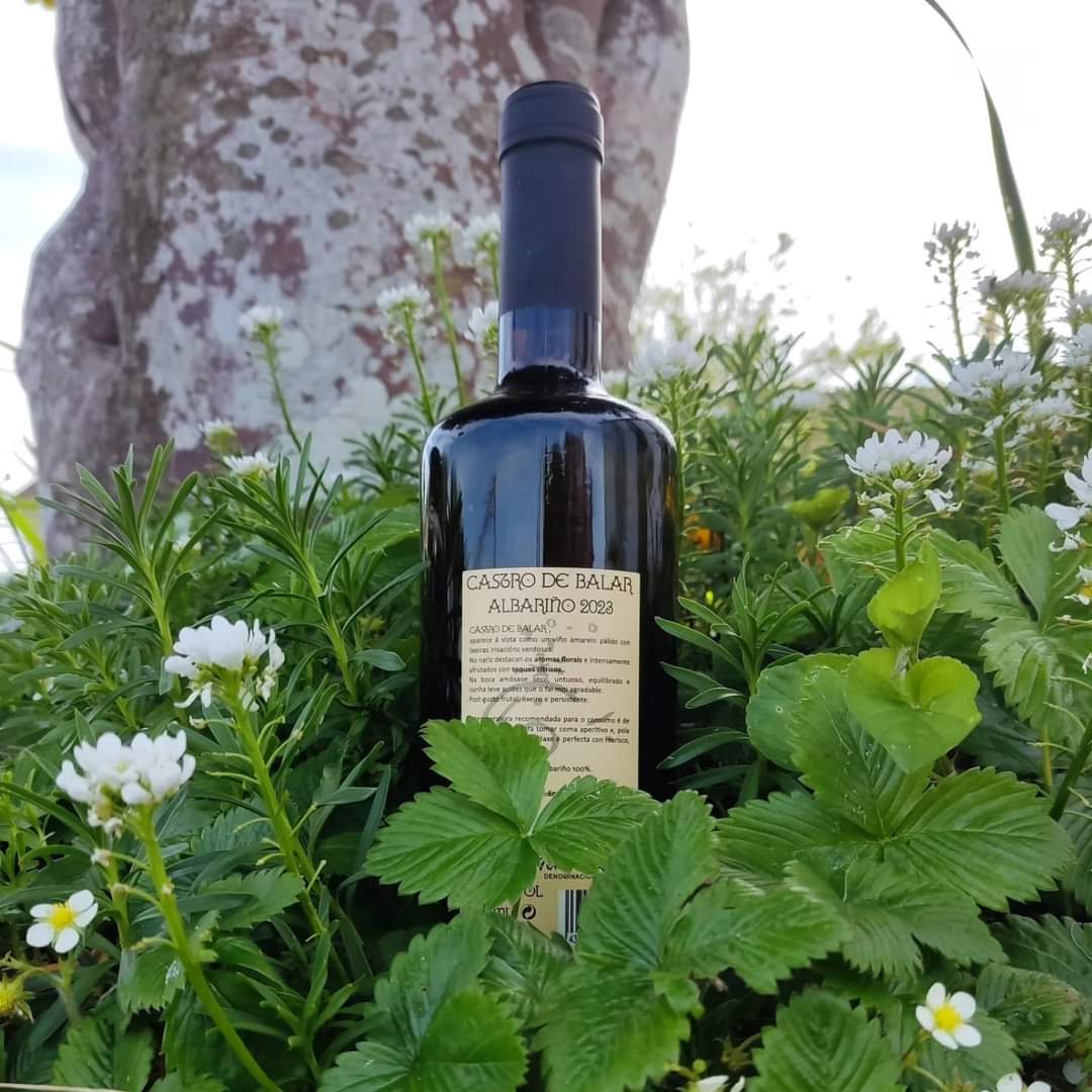 Castro de Balar tweet media