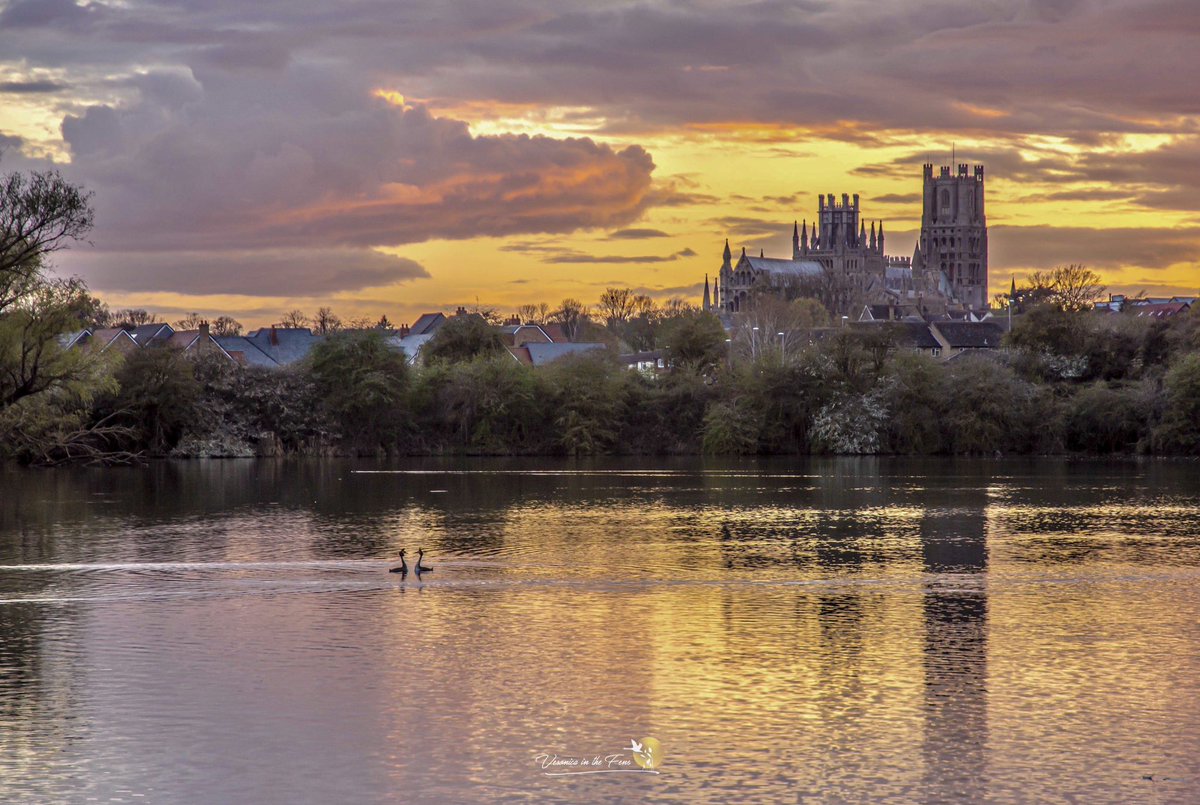 Could have been today but it was this day in 2023 😍 #LovElyCathedral Ely, Cambridgeshire