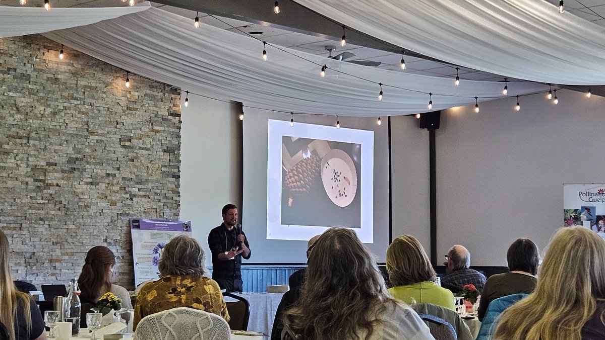 PollinateGuelph's tweet photo. Sean Fox is an experienced seed collector and shared tips and tricks, as well as dos and do not, at our Pollination Guelph symposium to show others how to grow their own plants. #PGEvents https://t.co/LOHrrpw5qj