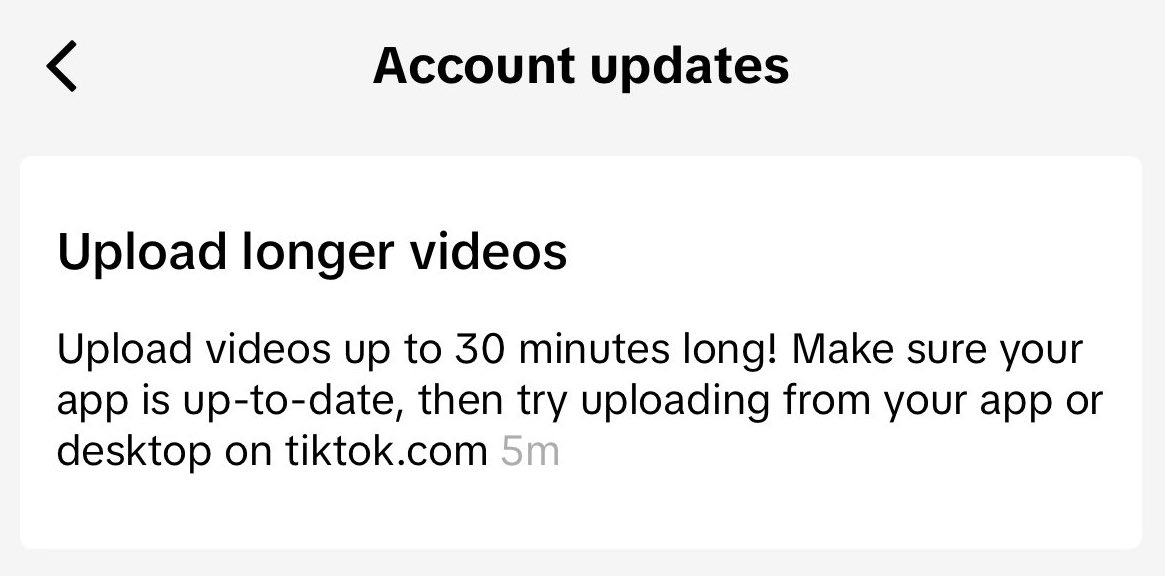 if any of you are going to put a 30min video on tiktok it better be artisanal