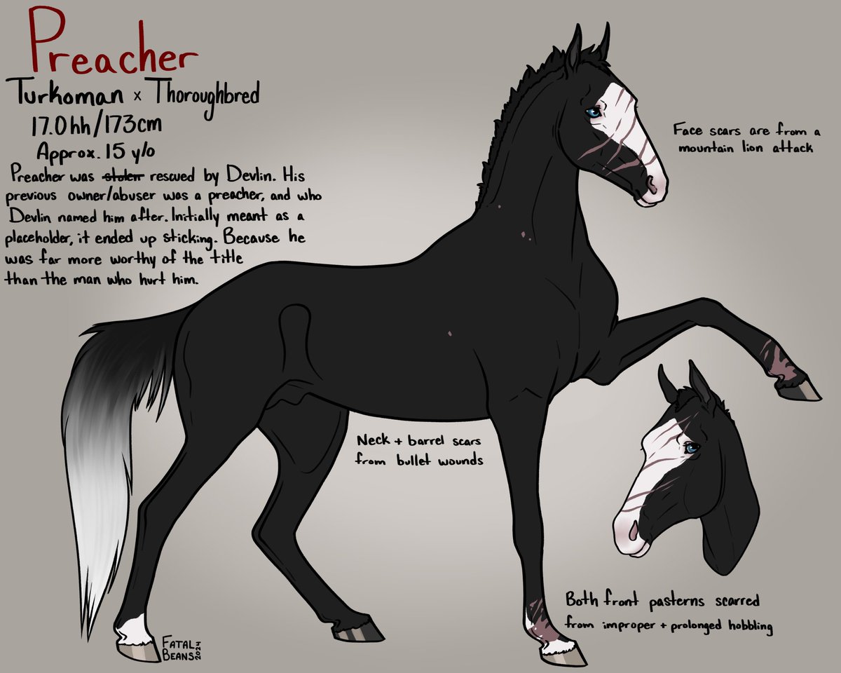 Preachy boi! One of my rdr2 oc's honses. 
Look at him, what a boi.