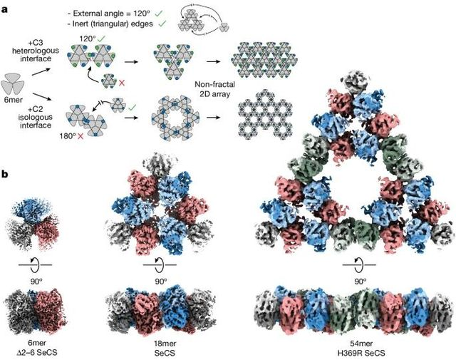 AquiGerd's tweet photo. Molecular  fractals           #nature #fractals https://t.co/sBL6ZCjHcy https://t.co/6kcLNtLm9G