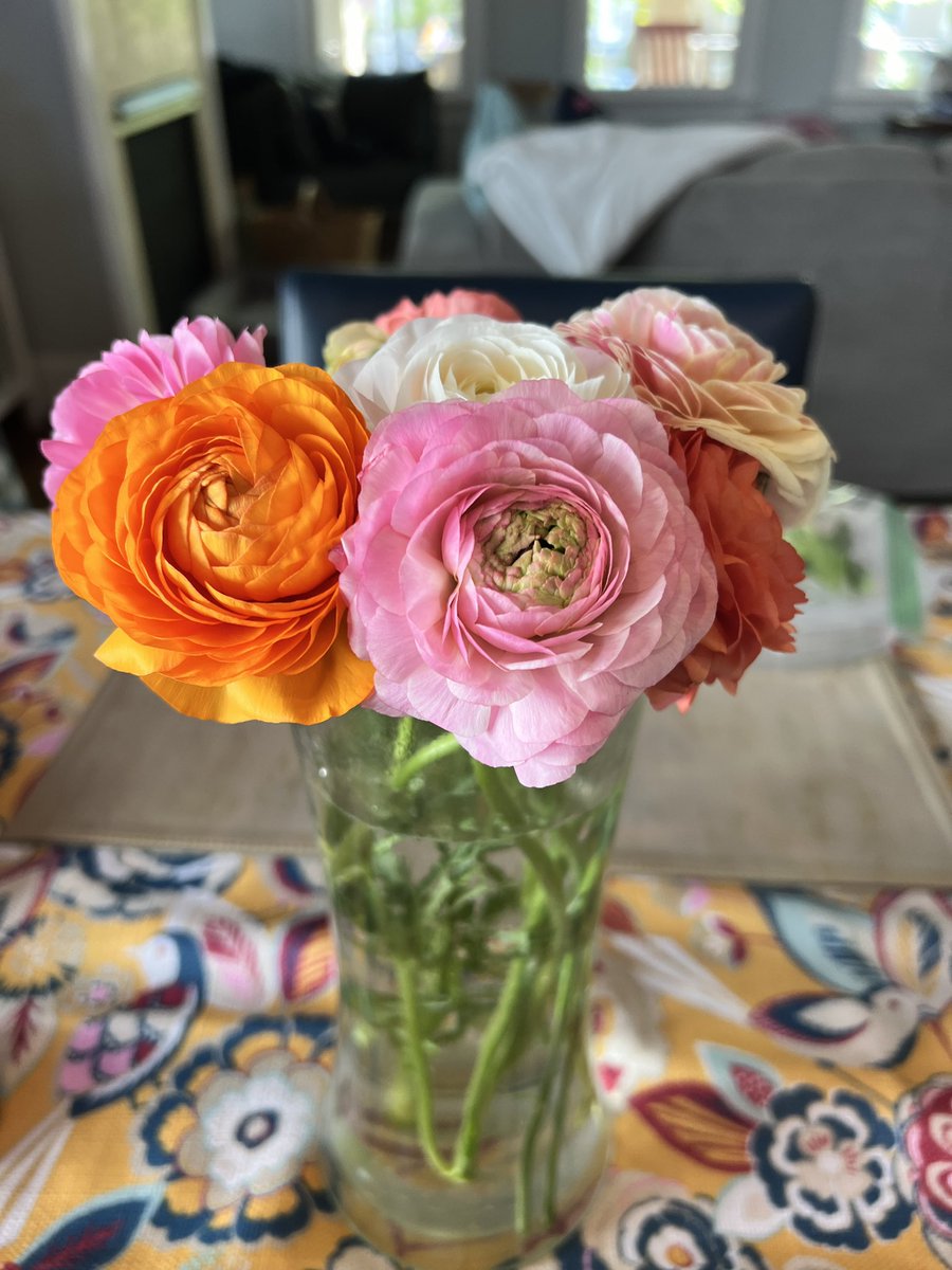 A little ranunculus love.