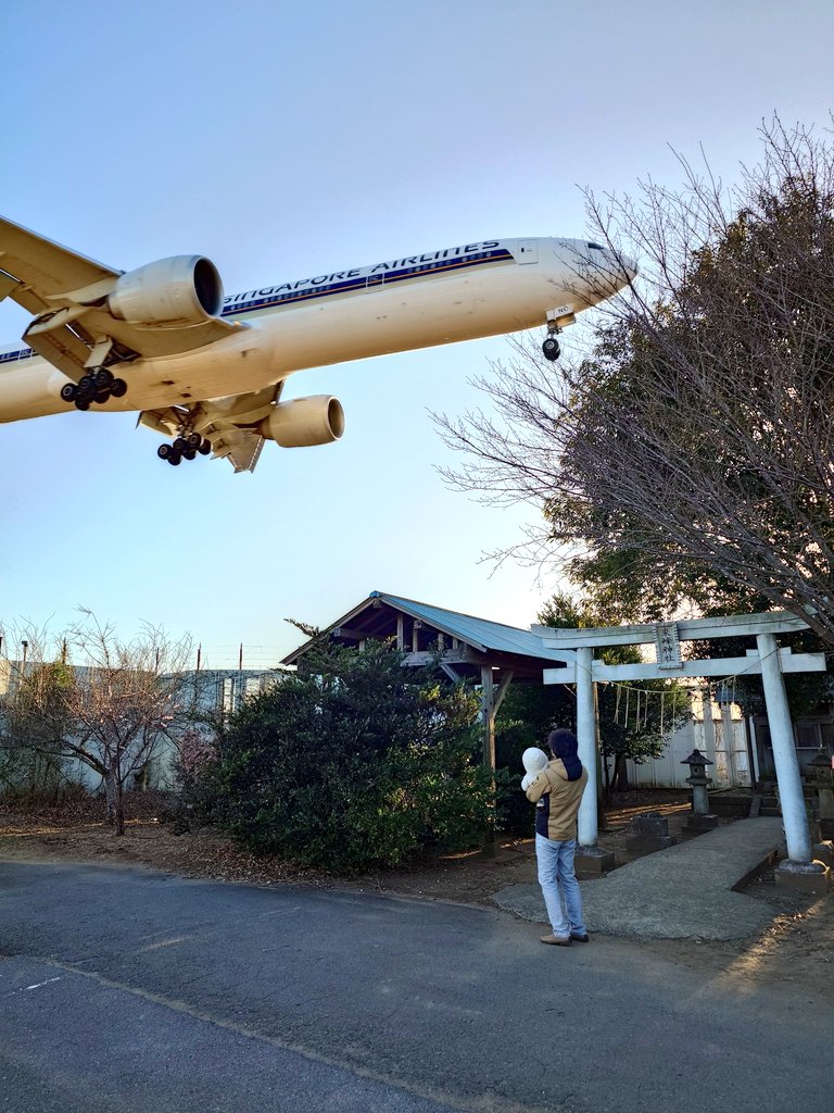 RyuchiDriving's tweet photo. ラウンジや展望デッキもいいけど、やっぱり近くがいいよね（続く浄化シリーズ） https://t.co/Y2NOgi50X6