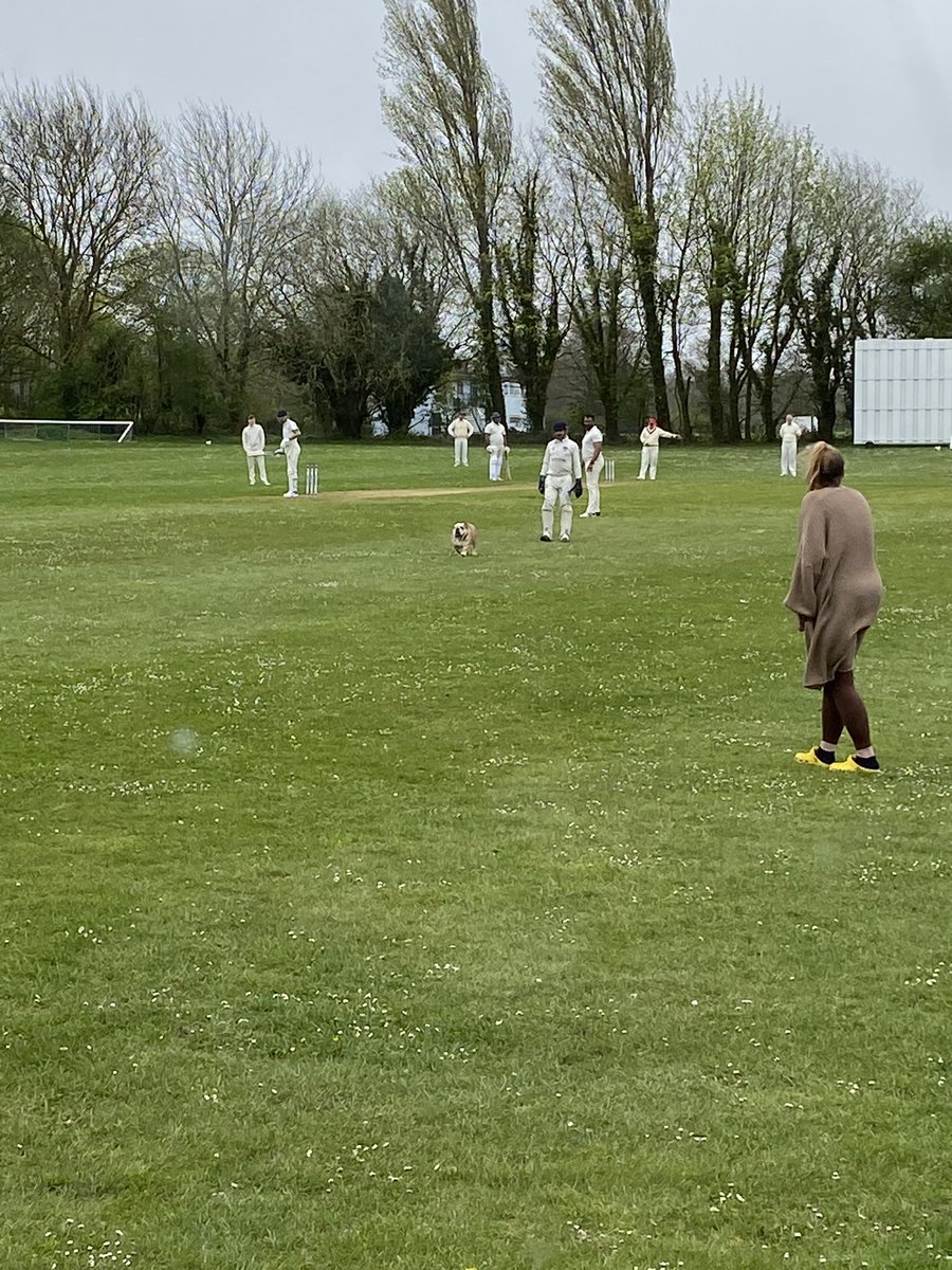 Today we had sun, rain, skipper fielding in shorts because he forgot his whites, dogs on the pitch, dropped catches, well taken catches, very questionable running between the wickets, big hitting and everything else in between… village cricket is well and truly BACK. #UpTheReds