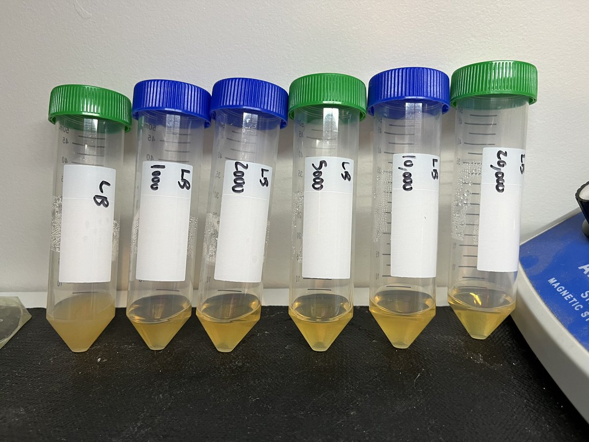 Finally had successful e.coli selection with my old Ampicillin stock. Needed to use >10X the recommended concentration. 

Now to find an appropriate selection concentration for my Kanamycin, then I can attempt more transformations.

#DIYbio