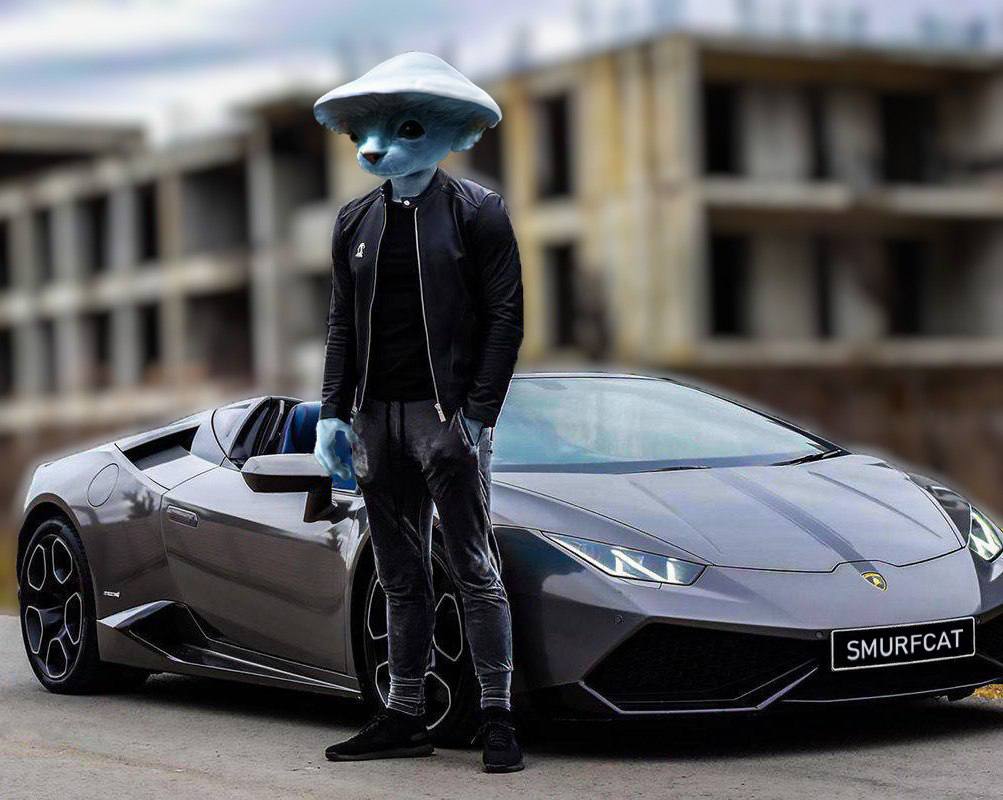 SmurfOnSolana's tweet photo. You can't even imagine how much cool people are holding $SMURF

Most strong communities created in tough times.

If you cant hold you wont be rich.

Memecoins are gonna make it. https://t.co/gprMSuibvB