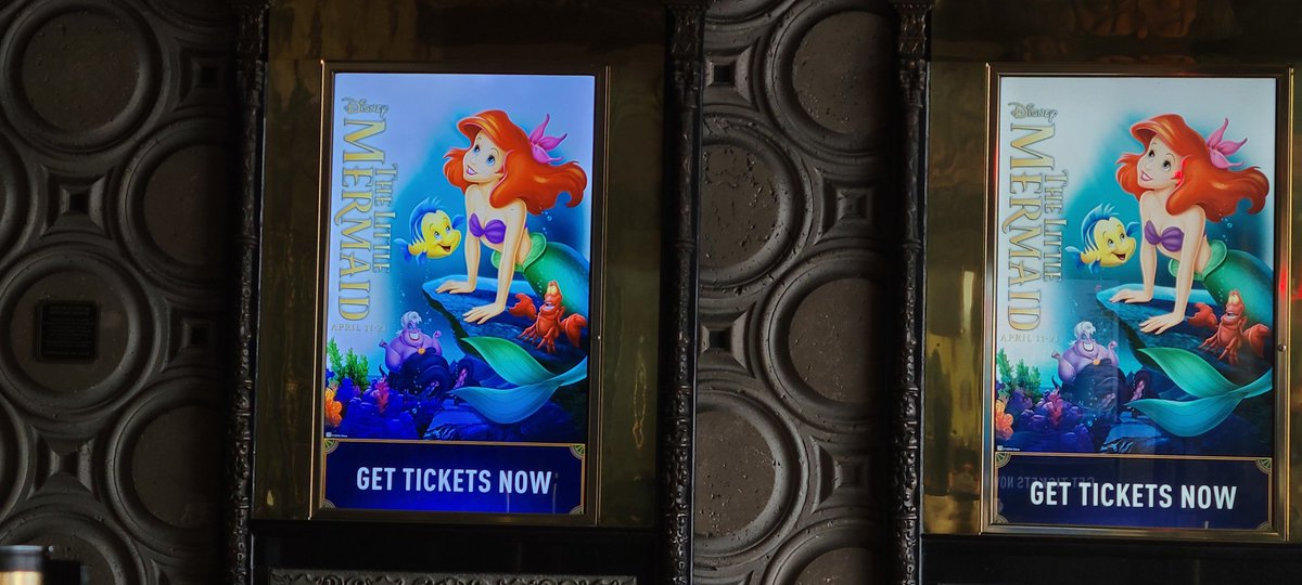 Disneyfan9523's tweet photo. I'm Now Ready To Watch Disney's The Little Mermaid At The El Capitan Theatre In Hollywood In Celebration Of The Film's 35th Anniversary This Year! #ElCapitanTheatre #TheLittleMermaid #TheLittleMermaid35 #Disney #Disney100 #WaltDisneyAnimationStudios #D23 #Disney100YearsOfWonder https://t.co/ng97inrutn