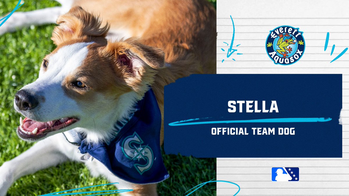 We are happy to announce the newest addition to the 2024 AquaSox staff....Stella