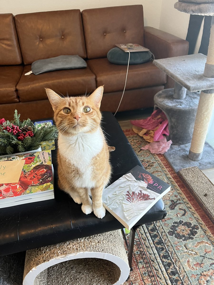 We all love our intern Molly’s cat Nugget, but we want to see other pets! DM us your cutest pictures of your pet(s) with copies of BPR for a chance to be featured in a future #PetsofBPR !