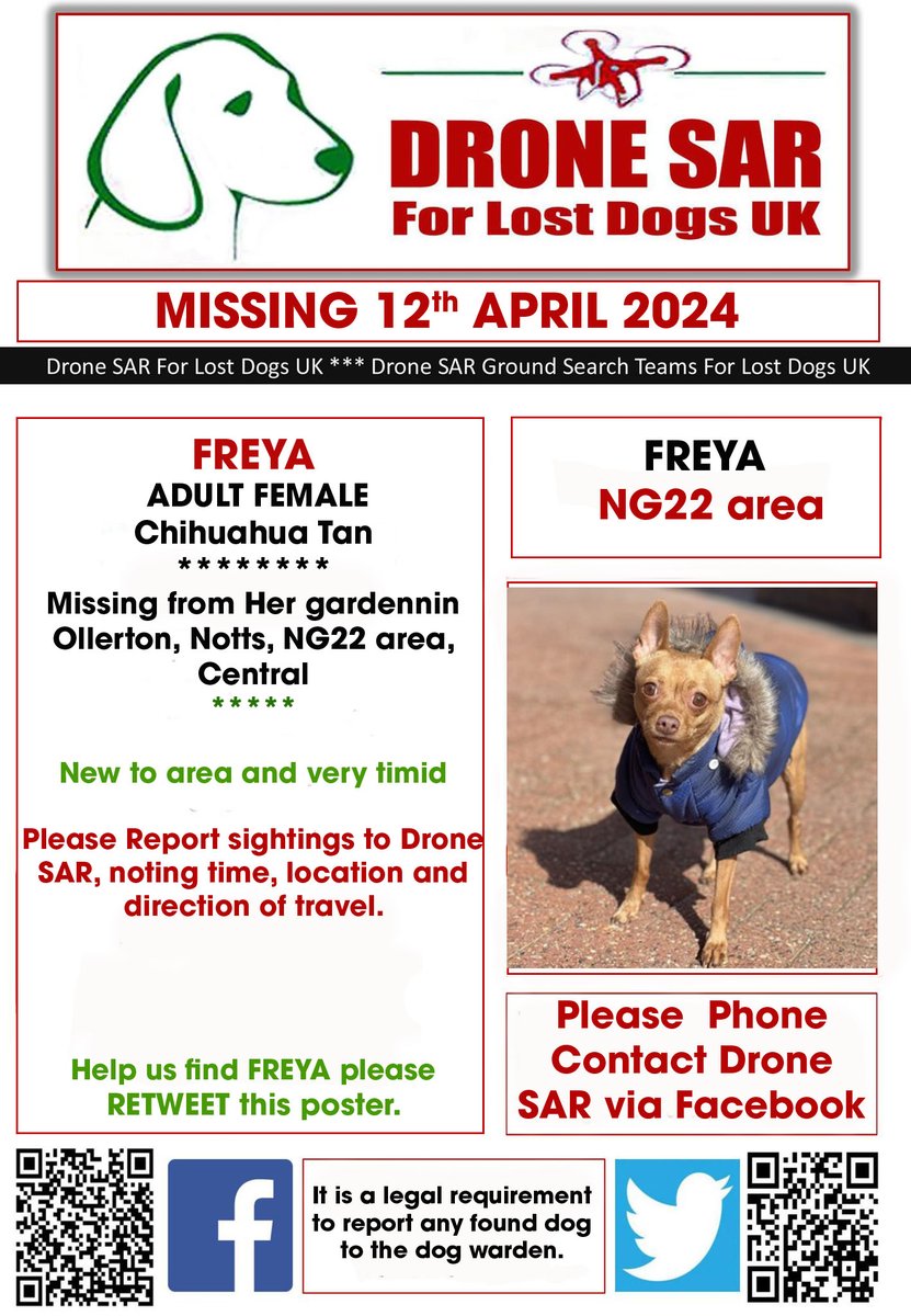 #LostDog #Alert FREYA
Female Chihuahua Tan (Age: Adult)
Missing from Her garden in Ollerton, Notts, NG22 area, Central on Friday, 12th April 2024 #DroneSAR #MissingDog