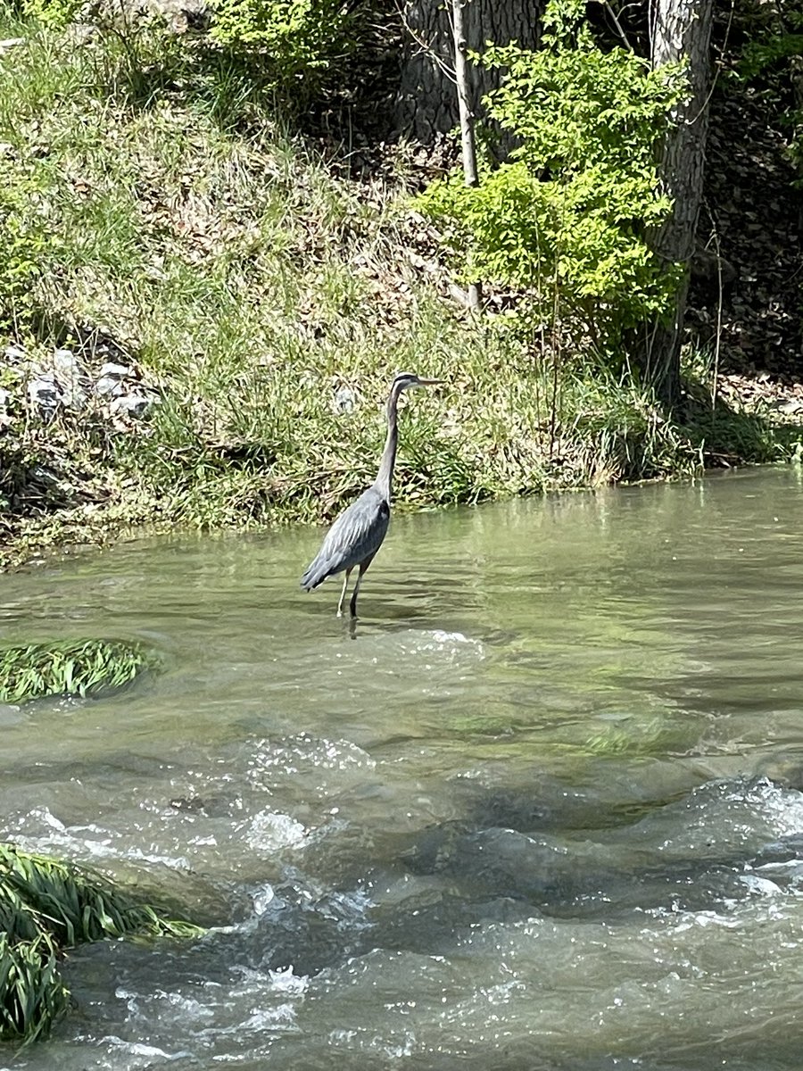 JeffWilkersonPW's tweet photo. The City of Martinsburg, WV has some beautiful settings. This is two blocks from downtown. #streamcleanup https://t.co/8KfYzWDcks
