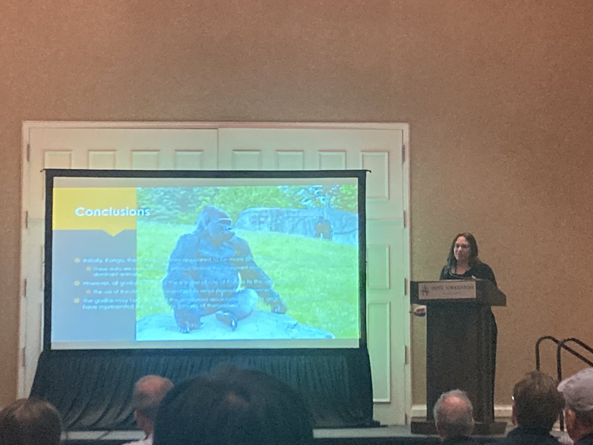 ComparativeCog's tweet photo. Do #gorillas respond to opportunity for #ProsocialBehavior using photos? Work by JenniferVonk found they avoid picking empty enclosure pics but don’t always choose for self/others- suggesting they may not recognize individuals in pics or have clear prosocial preferences #CO3_2024 https://t.co/Fvz5Fg4zbj